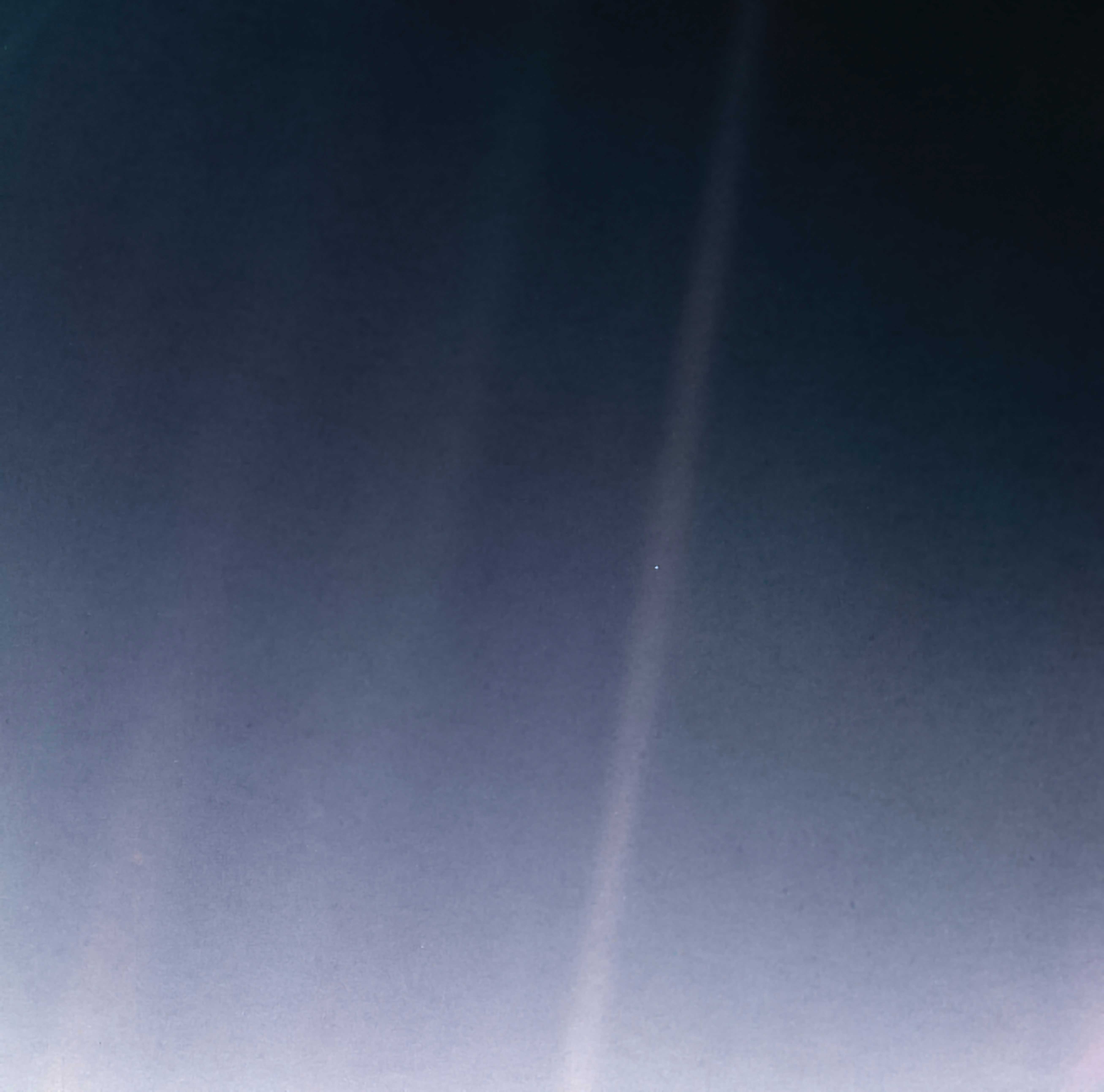 Featured image for "What an agent actually sees [1]"